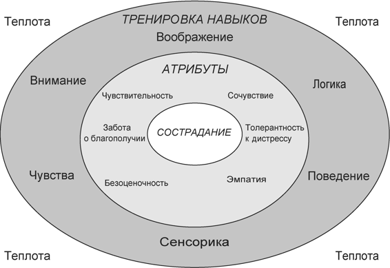 Терапия, сфокусированная на сострадании: отличительные особенности - img_13