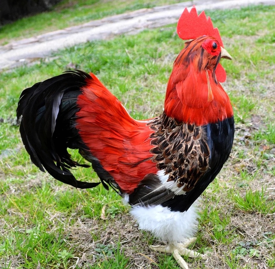 Дракон чихнул (СИ) - img_4