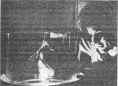 Голографическая Вселенная - image004.jpg