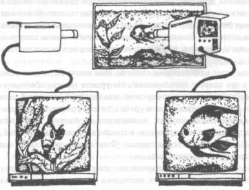 Голографическая Вселенная - image009.jpg