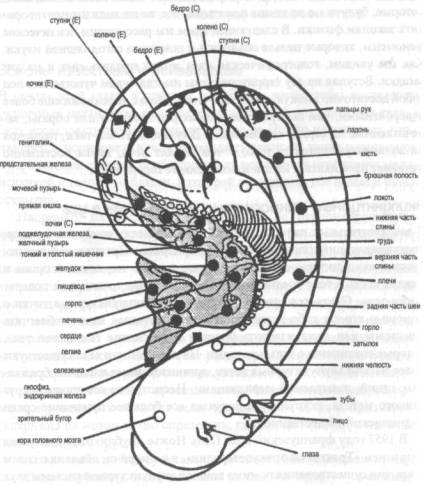 Голографическая Вселенная - image015.jpg