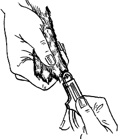 Ветеринарный справочник для владельцев кошек - i_035.png