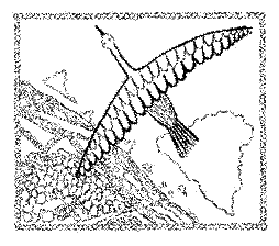 Талисманы любви и удачи. - i_007.png