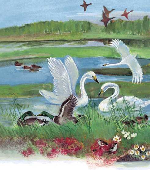 Азбука живой природы - i_004.jpg