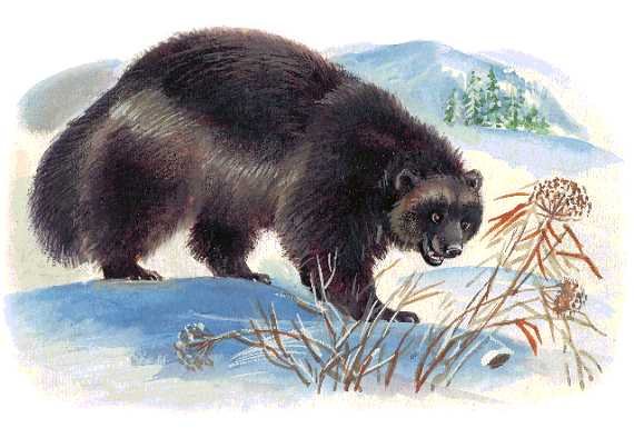 Азбука живой природы - i_026.jpg