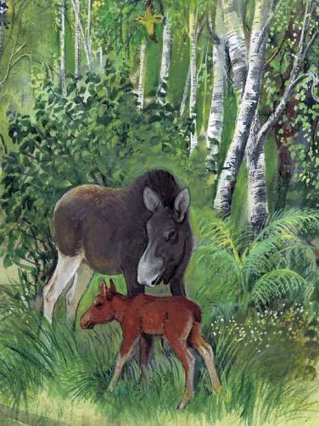 Азбука живой природы - i_041.jpg