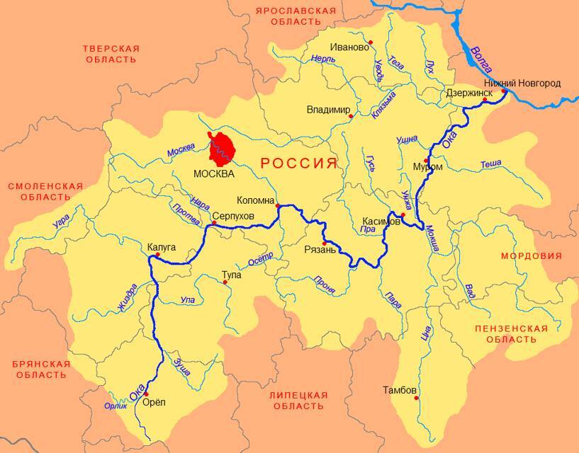 Рывок в будущее (СИ) - img_47