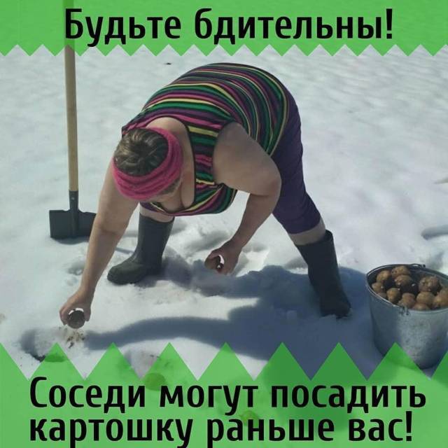 Типичный огородник 3 (СИ) - img_69