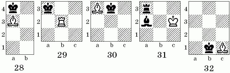 Шахматы для самых маленьких - i_129.png