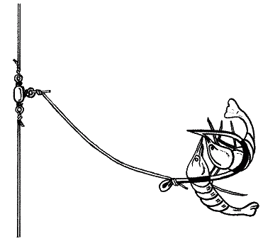 Большая книга рыболова–любителя (с цветной вкладкой) - _363.png