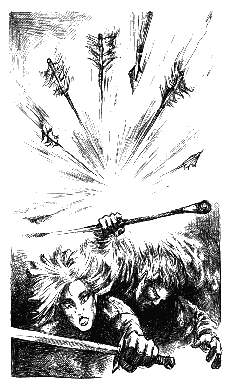 Хранитель Мечей. Странствия мага. Том 2 - i_011.png