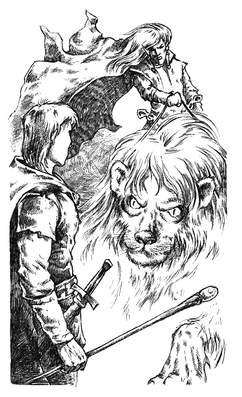 Хранитель Мечей. Странствия мага. Том 1 - i_005.png