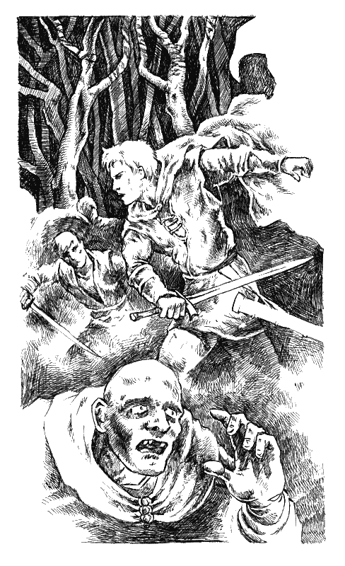 Хранитель Мечей. Странствия мага. Том 1 - i_013.png