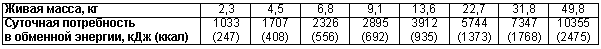 Физиология размножения и репродуктивная патология собак - i_023.png