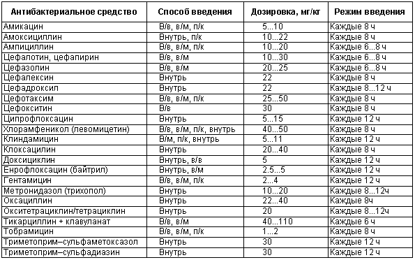 Физиология размножения и репродуктивная патология собак - i_042.png