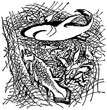 Следы невиданных зверей - i_50.png