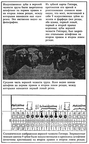Адольф Гитлер. Легенда. Миф. Действительность - _14.png