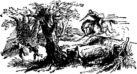Приключения Тома Сойера. Приключения Гекльберри Финна - doc2fb_image_0300002A.png
