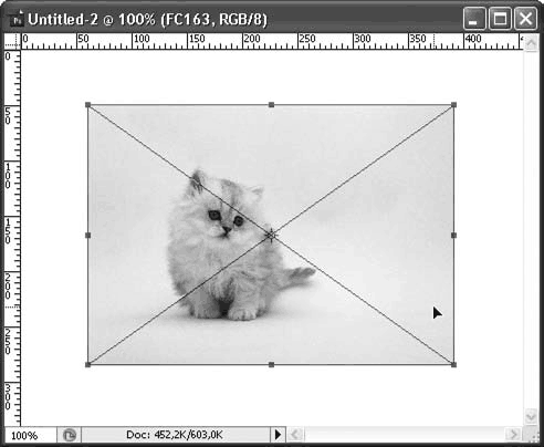 Adobe Photoshop CS3 - i_050.png