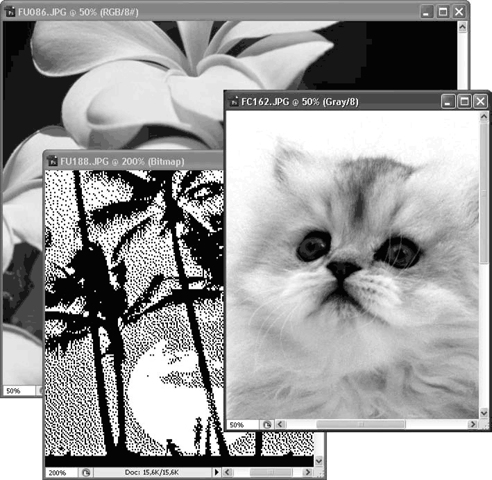 Adobe Photoshop CS3 - i_055.png
