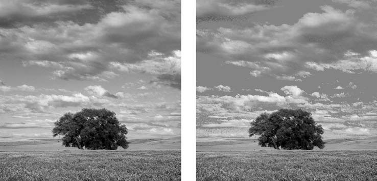 Adobe Photoshop CS3 - i_057.jpg