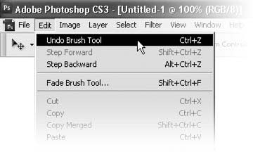 Adobe Photoshop CS3 - i_096.png