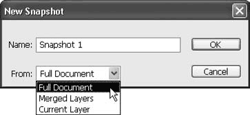 Adobe Photoshop CS3 - i_101.png