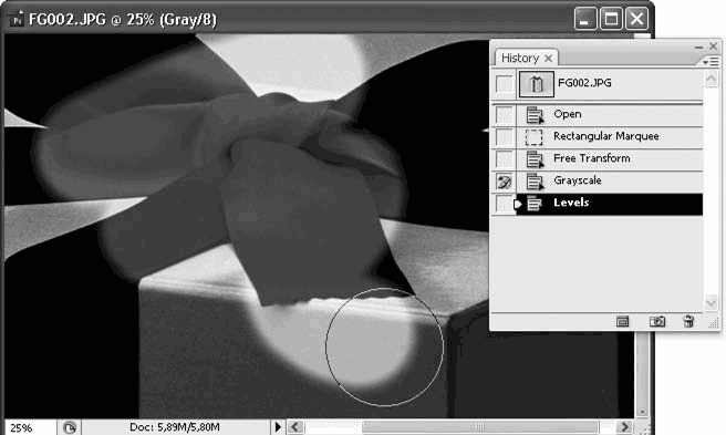 Adobe Photoshop CS3 - i_103.png