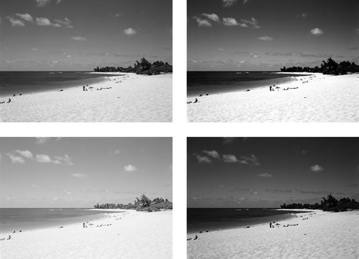 Adobe Photoshop CS3 - i_152.jpg