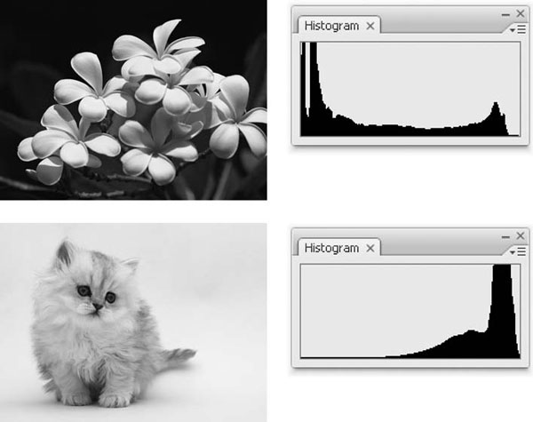 Adobe Photoshop CS3 - i_154.jpg