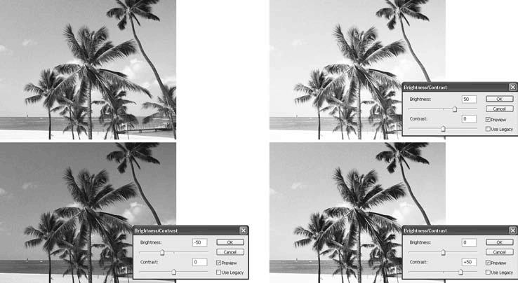 Adobe Photoshop CS3 - i_157.png