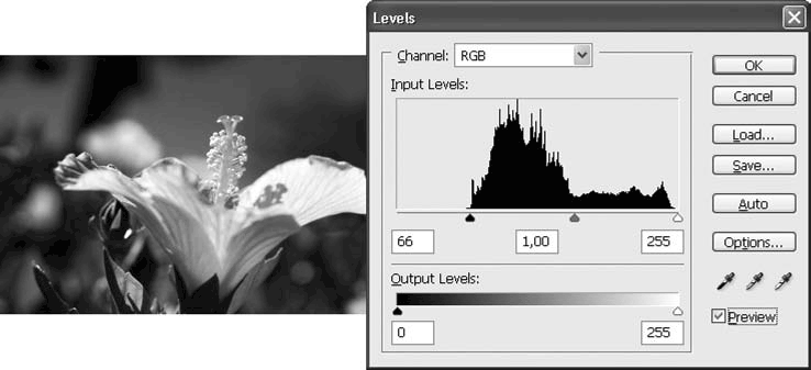 Adobe Photoshop CS3 - i_163.png