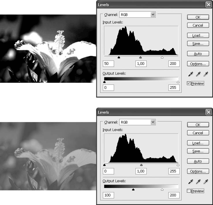 Adobe Photoshop CS3 - i_165.png