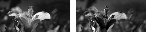 Adobe Photoshop CS3 - i_193.jpg
