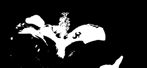 Adobe Photoshop CS3 - i_198.png