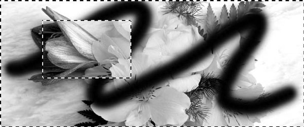 Adobe Photoshop CS3 - i_201.jpg