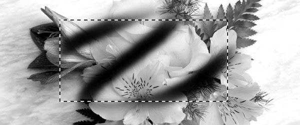 Adobe Photoshop CS3 - i_203.jpg