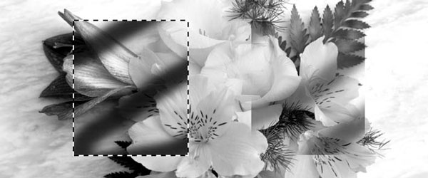 Adobe Photoshop CS3 - i_204.jpg