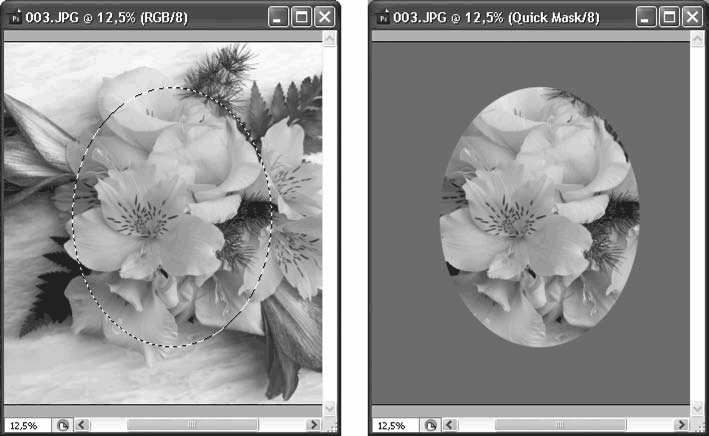 Adobe Photoshop CS3 - i_205.png