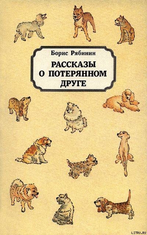 Рассказы о потерянном друге - Рябинин Борис Степанович