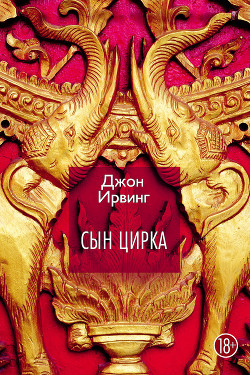 Сын цирка - Ирвинг Джон