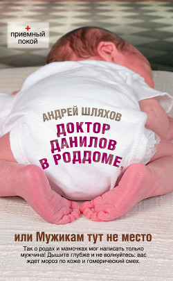 Доктор Данилов в роддоме, или Мужикам тут не место - Шляхов Андрей Левонович
