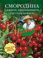 Читать книгу Помидоры, огурцы. Сажаем, выращиваем, заготавливаем