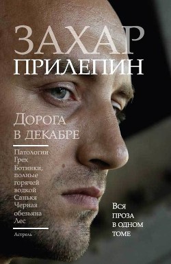 Дорога в декабре - Прилепин Захар