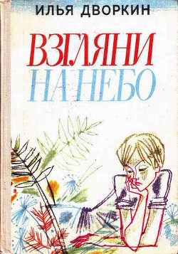 Взгляни на небо - Дворкин Илья Львович