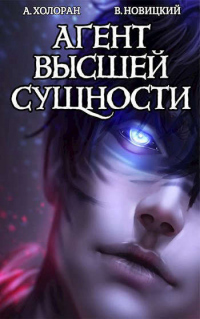 Агент высшей сущности - Валерий Новицкий;Алекс Холоран