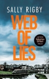 Читать книгу Web of Lies, автор Sally Rigby Web of Lies - Sally Rigby