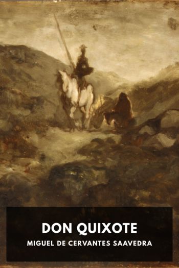 Читать книгу Don Quixote, автор Miguel de Cervantes Saavedra Don Quixote - Miguel de Cervantes Saavedra