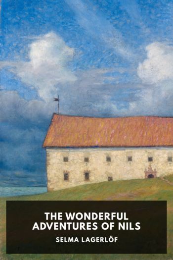 Читать книгу The Wonderful Adventures of Nils, автор Selma Lagerlöf The Wonderful Adventures of Nils - Selma Lagerlöf