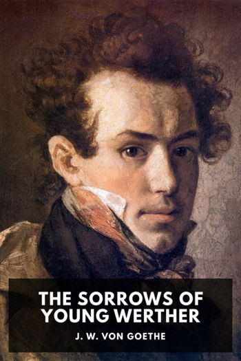 The Sorrows of Young Werther - J. W. von Goethe